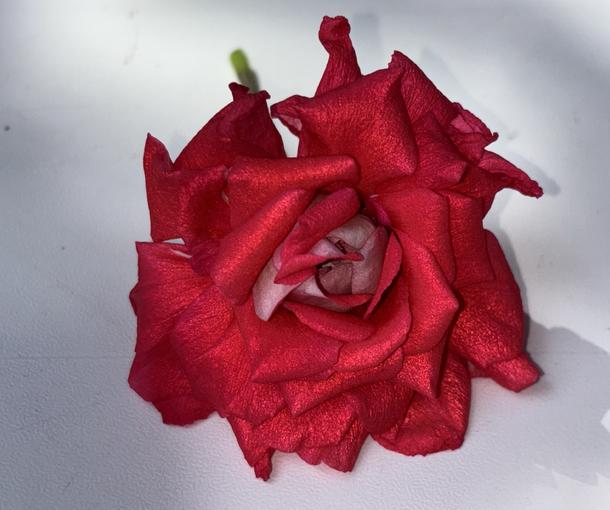 Painting Roses (Пэйтинг Роузиз)