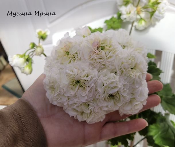 ЮВ ВАВИЛОН